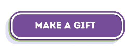 Make a gift button